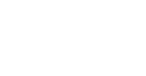 valeria logo