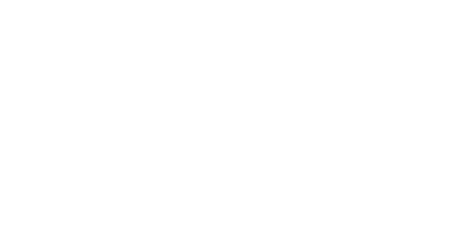wanderers logo